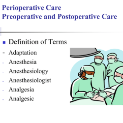 Perioperative care hesi case study