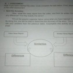 Fill in the graphic organizer below