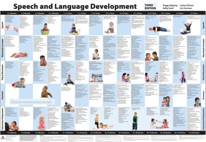 Peabody developmental motor scales 3