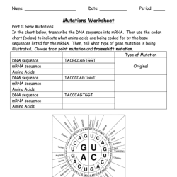 Investigation dna proteins and sickle cell answer key