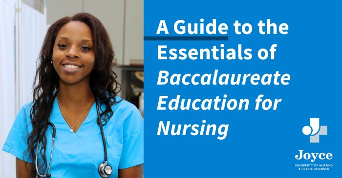 Essentials of baccalaureate education for professional nursing practice