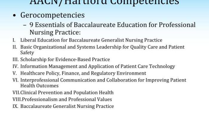 Essentials of baccalaureate education for professional nursing practice